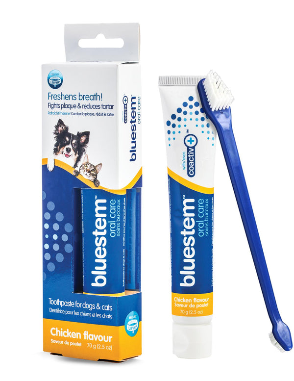 Bluestem Oral Care Chicken Flavour Cat & Dog Toothpaste, 70-gram