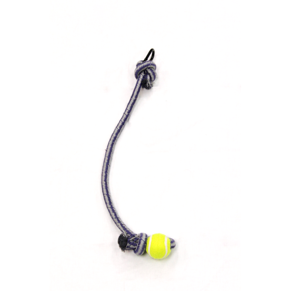 Tether Tug Additional Rope with Ball Dog Toy