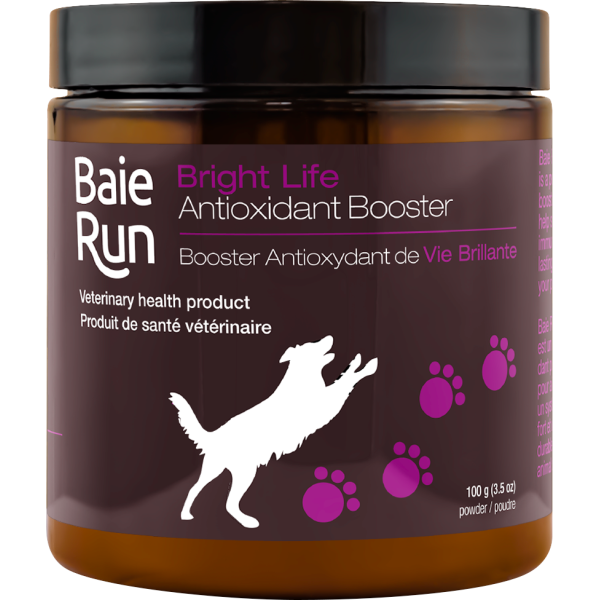 Baie Run Bright Life Supplément antioxydant pour chien