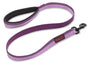 Halti Laisse pour chien, violette