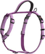 Halti Harnais de marche pour chien, violet
