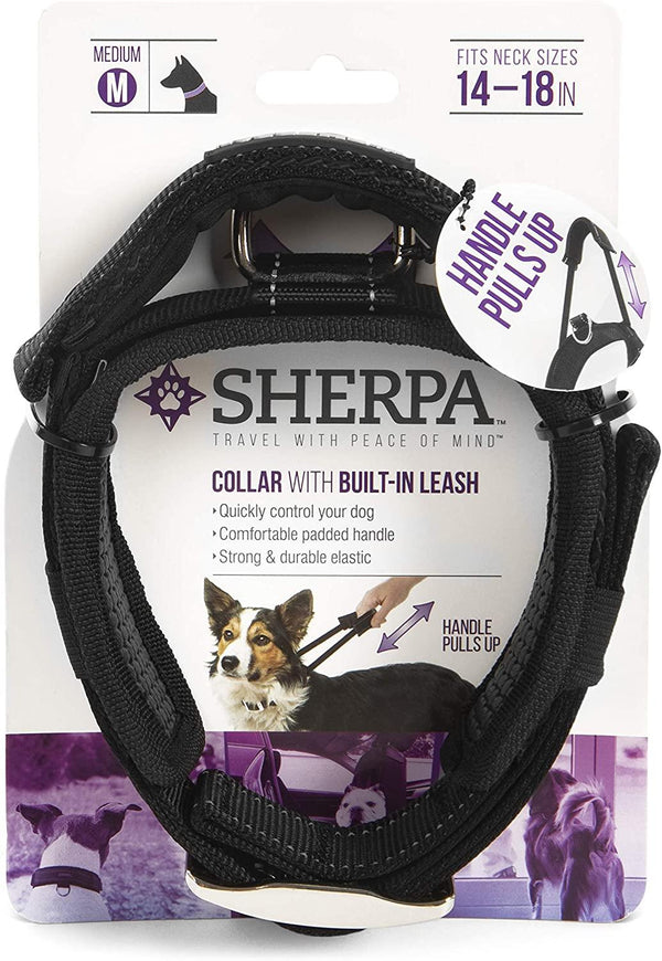 Sherpa Built-In Leash Dog Collar, Black