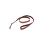 Circle T Laisse Rustique pour Chien, Rouge Brique