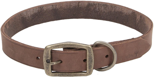 Circle T Laisse Rustique pour Chien, Chocolat