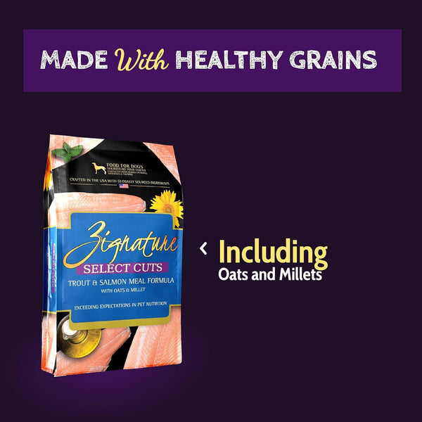 Zignature Select Cuts Trout & Salmon Meal Formula Dry Dog Food