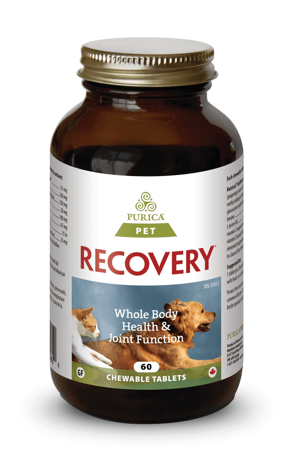 Purica Recovery Chewable Tablets Dog & Cat Supplement
