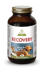 Purica Recovery Comprimés à mâcher Complément pour chiens et chats