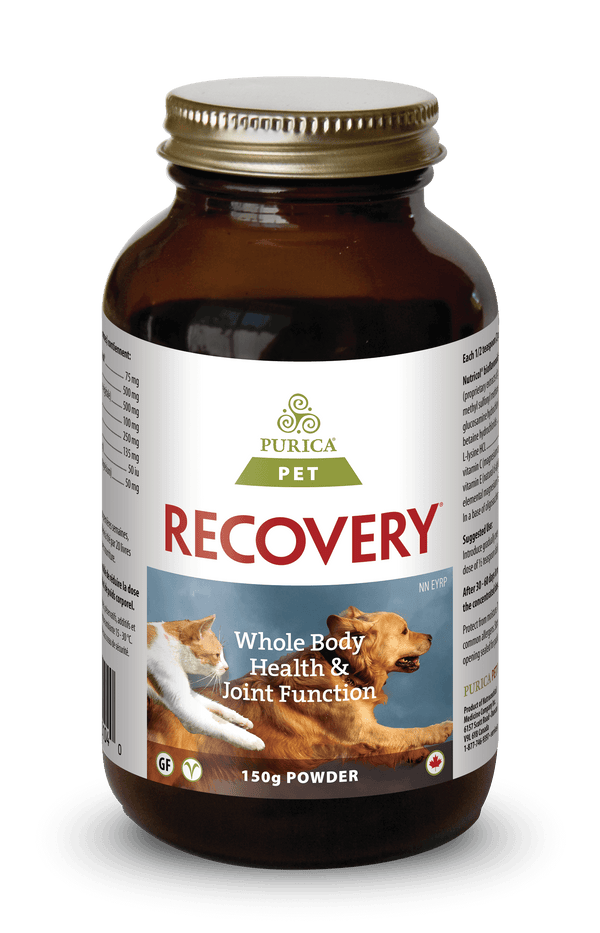 Purica Recovery Powder Dog & Cat Supplement