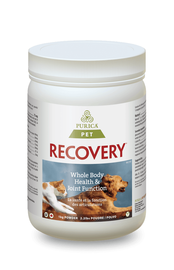 Purica Recovery Powder Dog & Cat Supplement