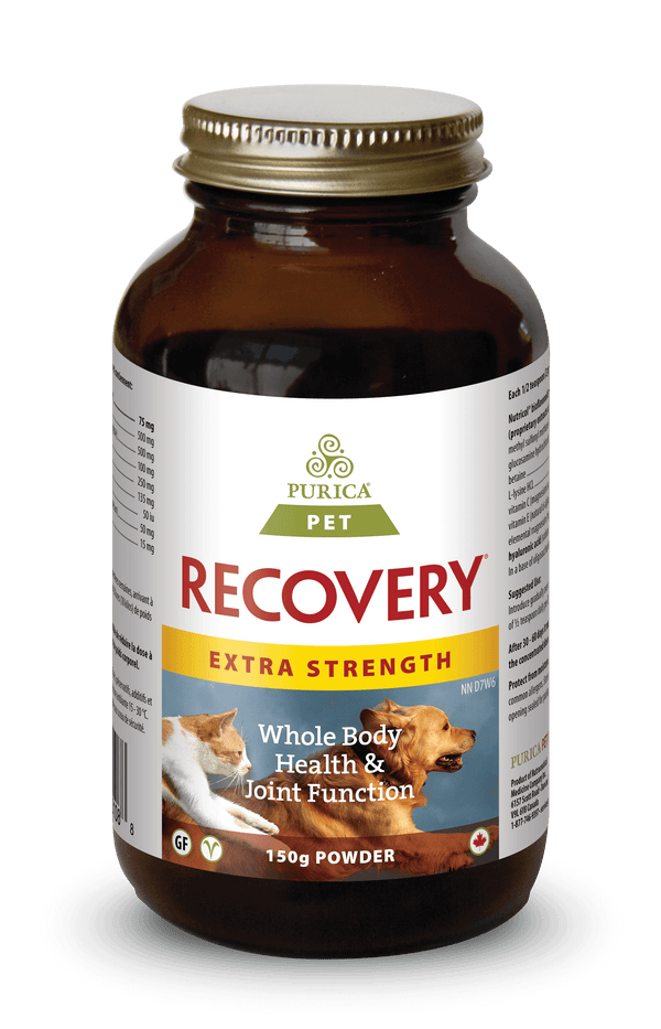 Purica Recovery Extra Strength Powder Dog & Cat Supplement