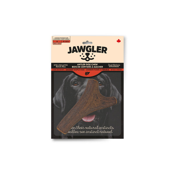 Jawgler Whole Antler Smoked Maple Ham Chew Dog Toy