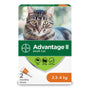 Advantage II Petit chat