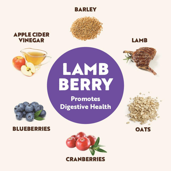 Northern Biscuit Lamb Berry Dog Treats
