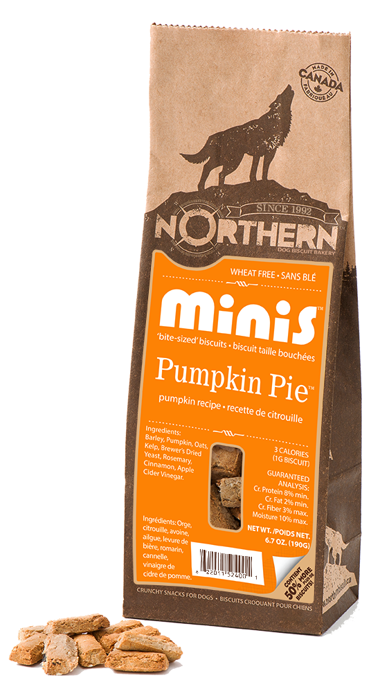 Northern Biscuit Tarte à la citrouille Minis Gâteries pour chiens