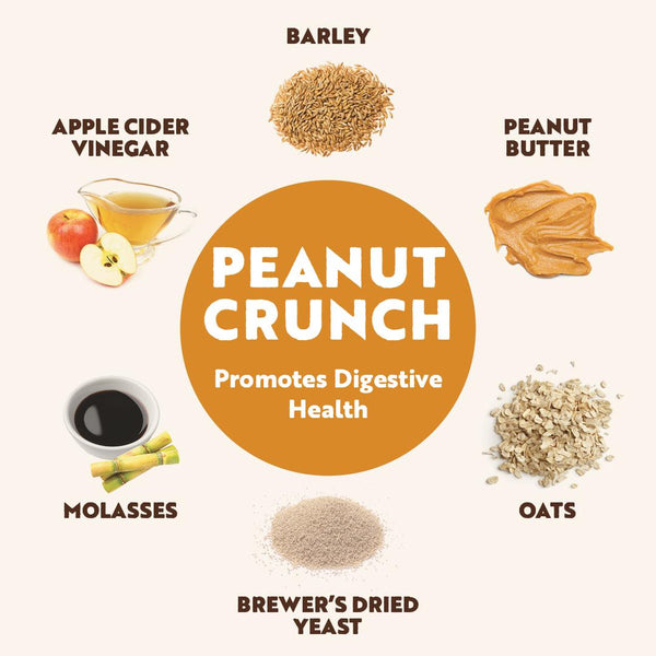 Northern Biscuit Peanut Crunch Dog Treats