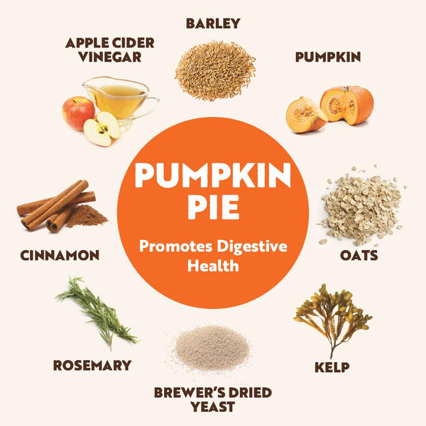 Northern Biscuit Pumpkin Pie Dog Treats