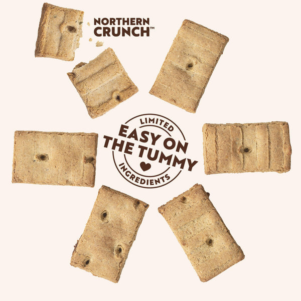 Northern Biscuit Pumpkin Pie Dog Treats