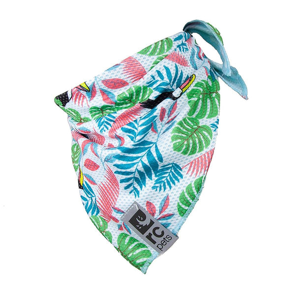RC Pets Zephyr Cooling Bandana for Dogs, Toucan