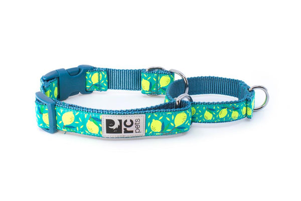RC Pets Easy Clip Web Training Dog Collar, Lemonade
