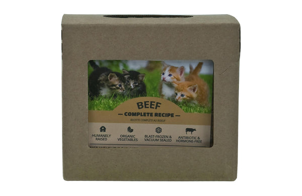 Red Dog Blue Kat Beef Complete Recipe Frozen Cat Food