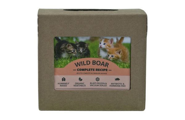 Red Dog Blue Kat Recette complète au sanglier Nourriture congelée pour chats