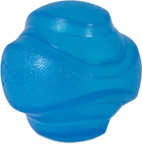 Chuckit! Light Fetch Ball Dog Toy