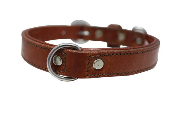 Angel Dallas Dog Collar, Brown