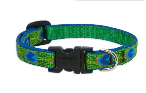 Lupine Pet Original Designs Adjustable Dog Collar, Tail Feathers