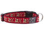 RC Pets Collier pour chien à clip, Pirate Pooch