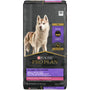 Purina Pro Plan Focus Nourriture sèche pour chiens à toutes les étapes de la vie Petites bouchées Agneau et riz