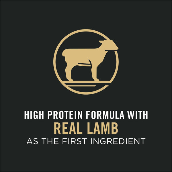 Purina Pro Plan Focus Nourriture sèche pour chiens à toutes les étapes de la vie Petites bouchées Agneau et riz