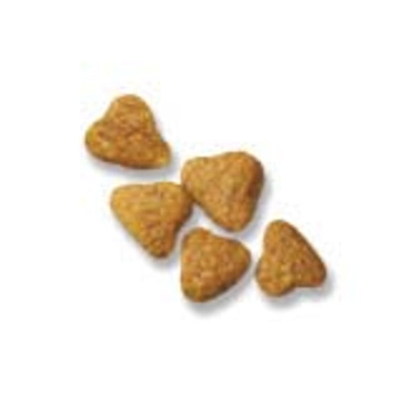 Purina Pro Plan Focus Nourriture sèche pour chiens à toutes les étapes de la vie Petites bouchées Agneau et riz