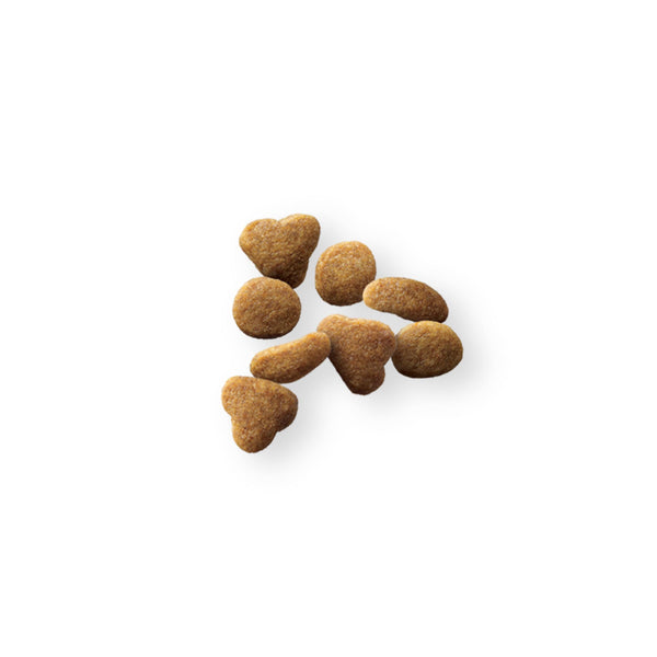 Purina Pro Plan Indoor Hairball Salmon & Rice Adult Dry Cat Food