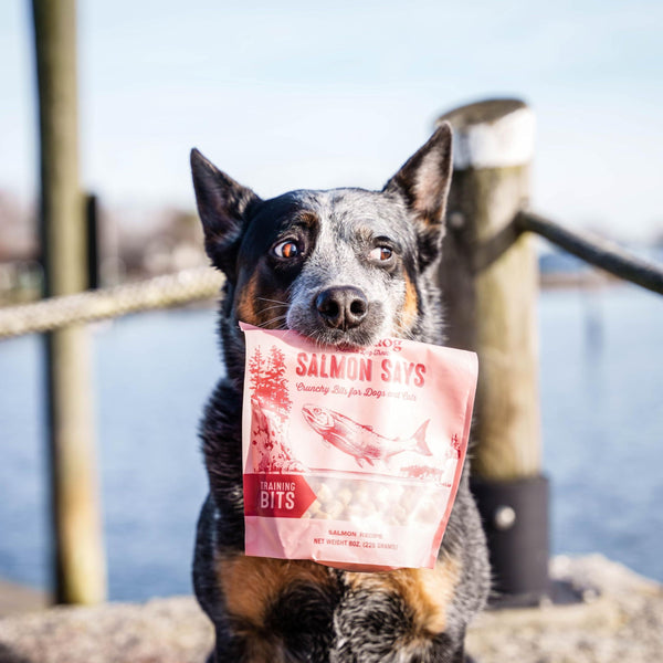 Polkadog Salmon Says Training Bits Dog & Cat Treats