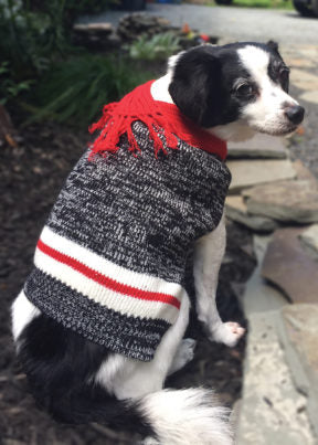 Ethical Products Pet Sequin Sweater Twisted Yarn, Grey