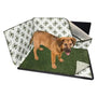 PoochPad Système professionnel d'apprentissage pour chiens d'intérieur avec PoochGuard et système de tapis connectables