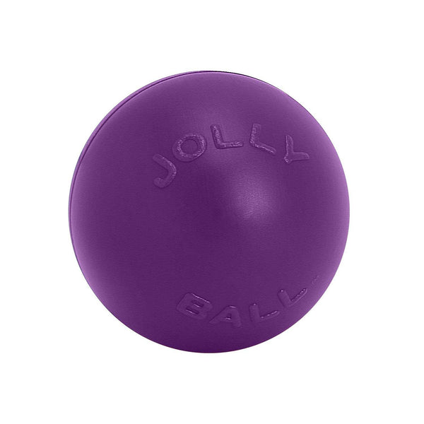 Jolly Pets Push-n-Play Dog Toy, Purple