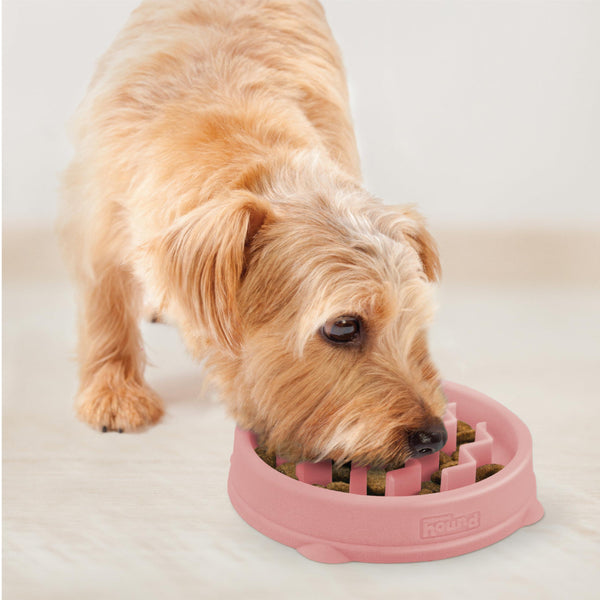 Outward Hound Fun Feeder Slo Bowl Dog Slow Feeder, Pink