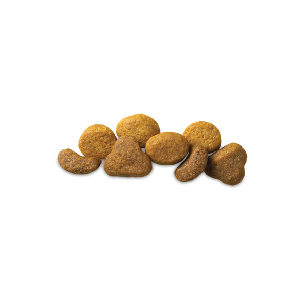 Purina Pro Plan Saveur Formule pour Chat Adulte Saumon et Riz Croquettes