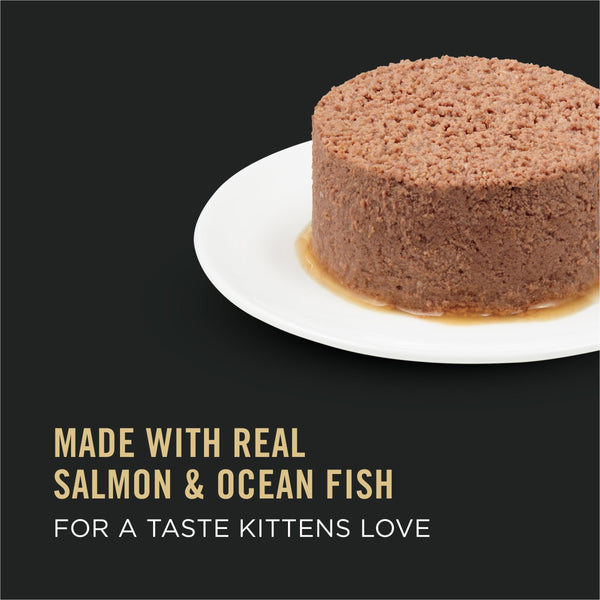 Purina Pro Plan Salmon & Ocean Fish Entree Kitten Wet Cat Food Can