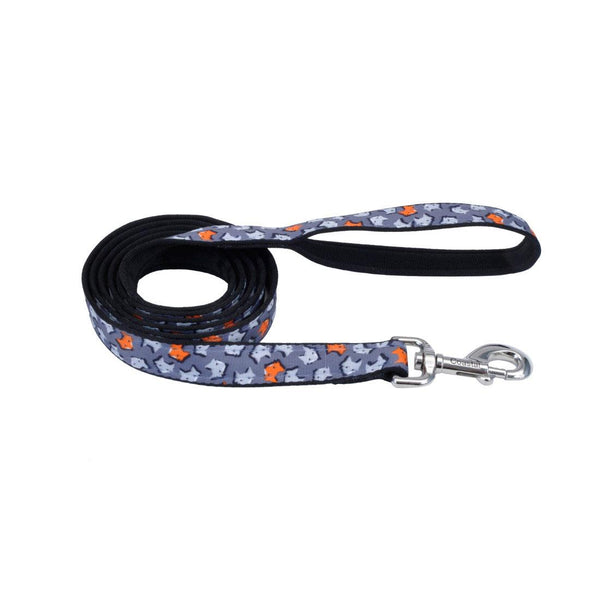 Styles Laisse pour chien, Renards