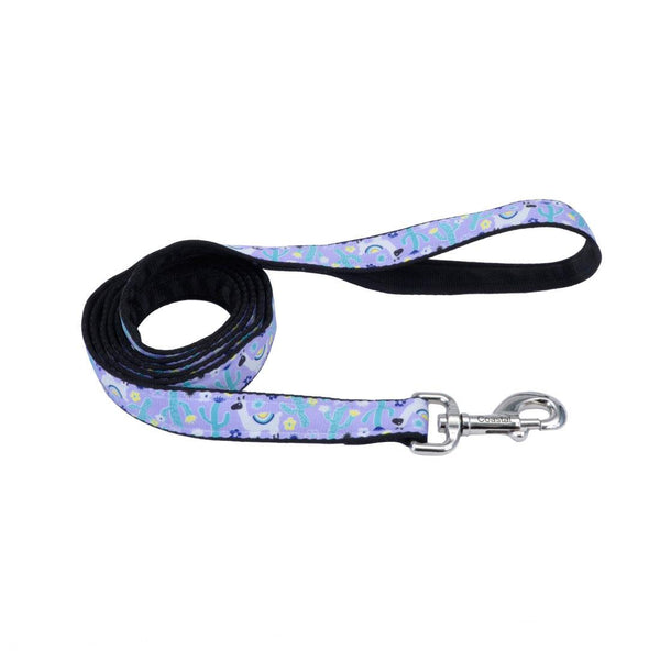 Styles Laisse pour chien, Lamas