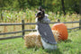 Outdoor Dog Manteau gris à motif détail pour chiens