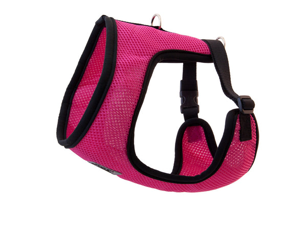 RC Pets Cirque Raspberry Dog Harness
