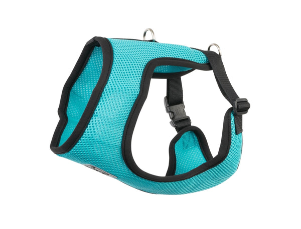 RC Pets Cirque Teal Dog Harness