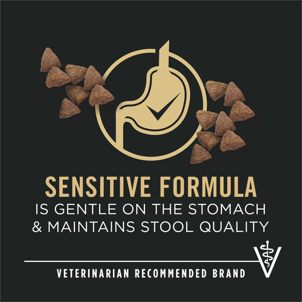 Purina Pro Plan Sensitive Skin & Stomach Salmon & Rice Small Breed Adult Dry Dog Food