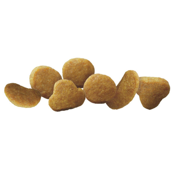 Purina Pro Plan Focus Kitten Poulet et Riz Croquettes pour chatons