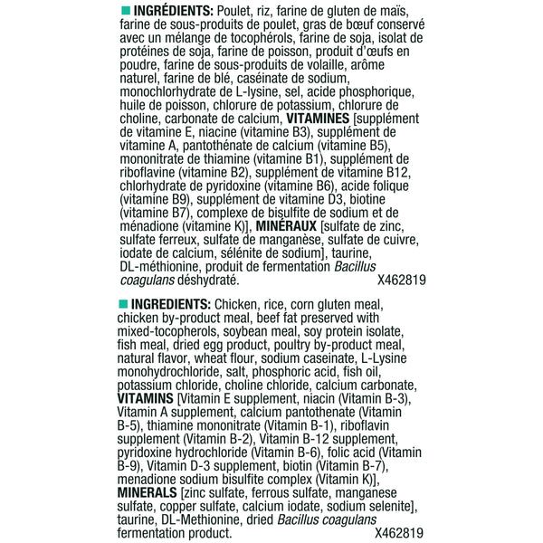 Purina Pro Plan Focus Kitten Poulet et Riz Croquettes pour chatons