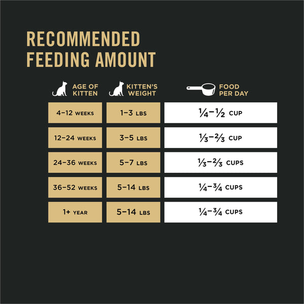 Purina Pro Plan Focus Kitten Poulet et Riz Croquettes pour chatons