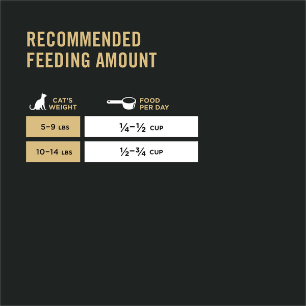 Purina Pro Plan Sensitive Skin & Stomach Lamb & Rice Adult Dry Cat Food